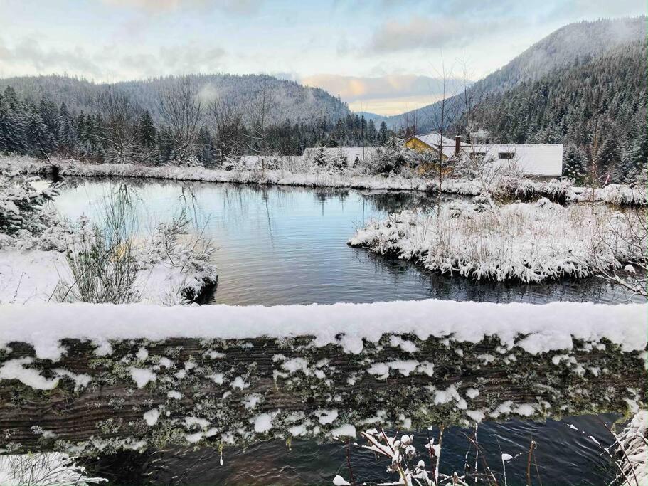 Le Perchoir- Grand Valtin 6 Pers Lägenhet Ban-sur-Meurthe-Clefcy Exteriör bild