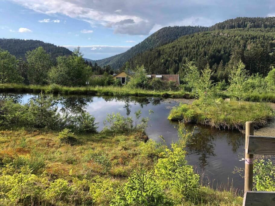 Le Perchoir- Grand Valtin 6 Pers Lägenhet Ban-sur-Meurthe-Clefcy Exteriör bild