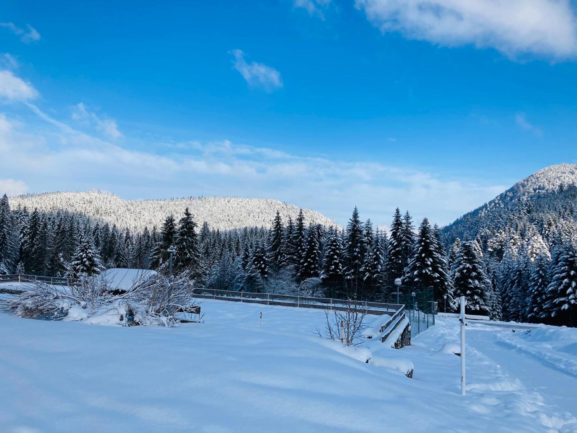 Le Perchoir- Grand Valtin 6 Pers Lägenhet Ban-sur-Meurthe-Clefcy Exteriör bild